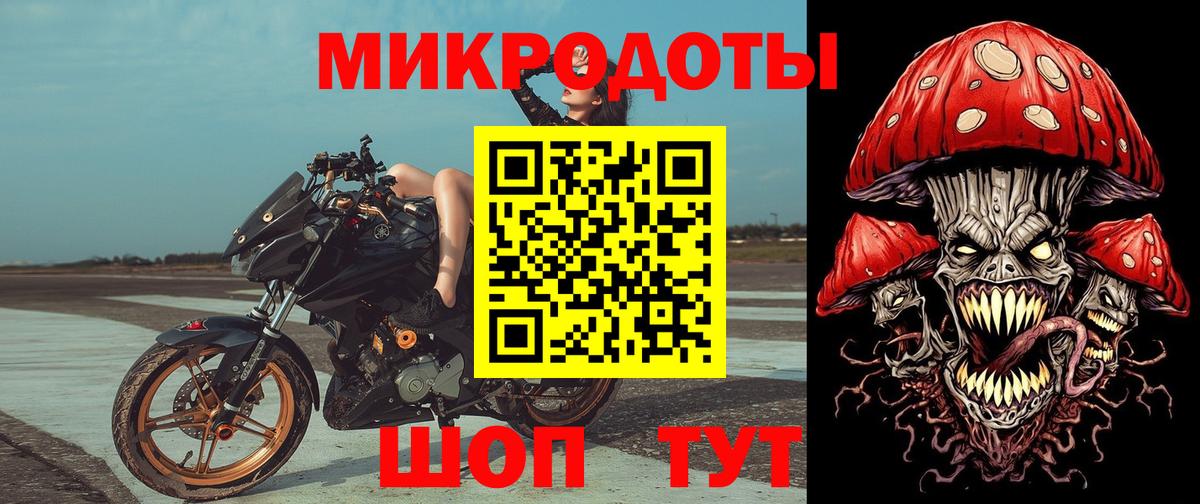 Галлюциногенные грибы Cubensis Дербент